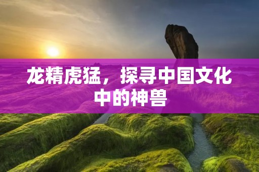 龙精虎猛,探寻中国文化中的神兽