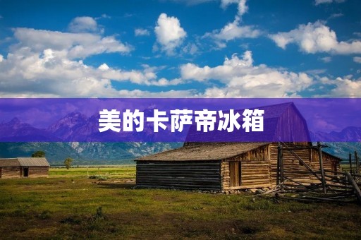 美的卡萨帝冰箱：高端品质，值得拥有