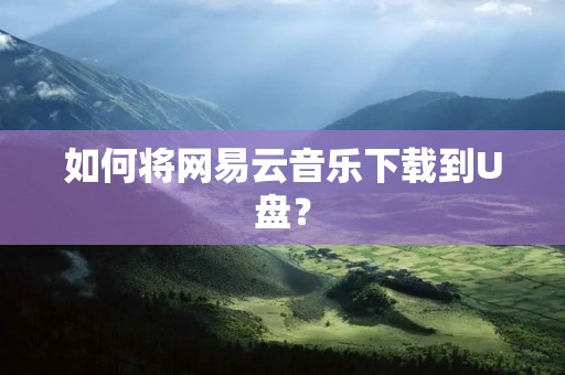 如何将网易云音乐下载到U盘?