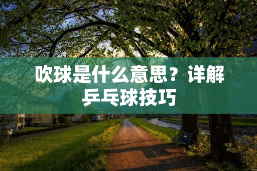 吹球是什么意思?详解乒乓球技巧 吹球是什么意思?详解乒乓球技巧
