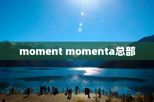 moment momenta总部