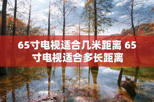65寸电视适合几米距离 65寸电视适合多长距离 65寸电视适合几米距离 65寸电视适合多长距离