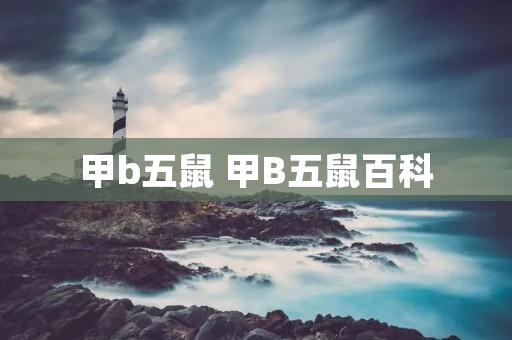 甲b五鼠 甲B五鼠百科