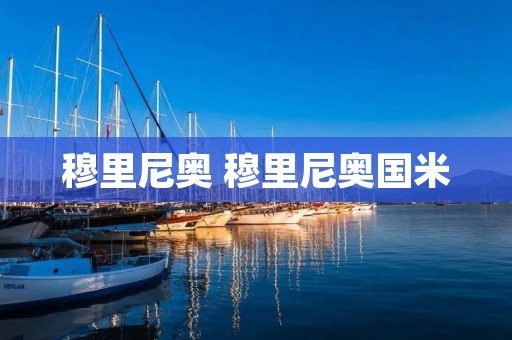 穆里尼奥 穆里尼奥国米