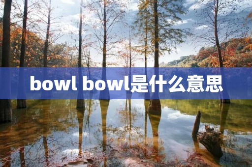 bowl bowl是什么意思