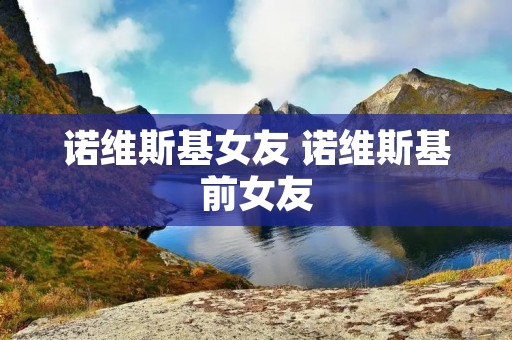 诺维斯基女友 诺维斯基前女友