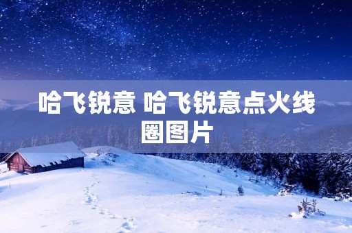 哈飞锐意 哈飞锐意点火线圈图片 哈飞锐意 哈飞锐意点火线圈图片