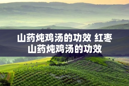 山药炖鸡汤的功效 红枣山药炖鸡汤的功效