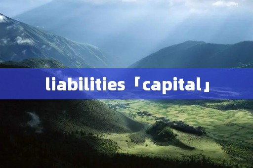 liabilities「capital」 liabilities「capital」