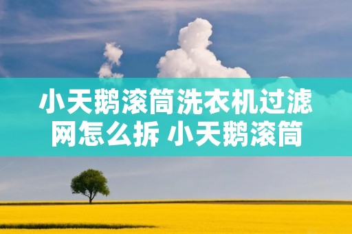 小天鹅滚筒洗衣机过滤网怎么拆 小天鹅滚筒洗衣机过滤网怎么拆卸 小天鹅滚筒洗衣机过滤网怎么拆 小天鹅滚筒洗衣机过滤网怎么拆卸