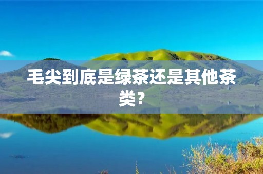 毛尖到底是绿茶还是其他茶类?