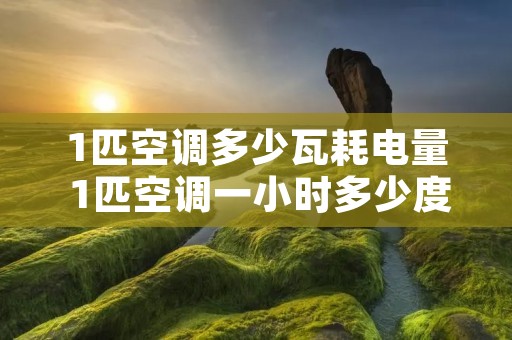 1匹空调多少瓦耗电量 1匹空调一小时多少度 1匹空调多少瓦耗电量 1匹空调一小时多少度