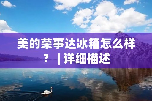 美的荣事达冰箱怎么样？ | 详细描述