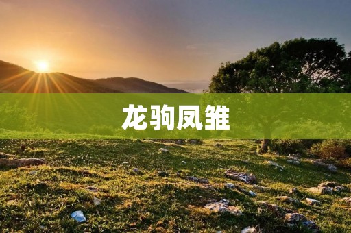 龙驹凤雏：传说中的神兽奇遇记