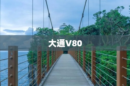 大通V80：大空间，大载重，大动力