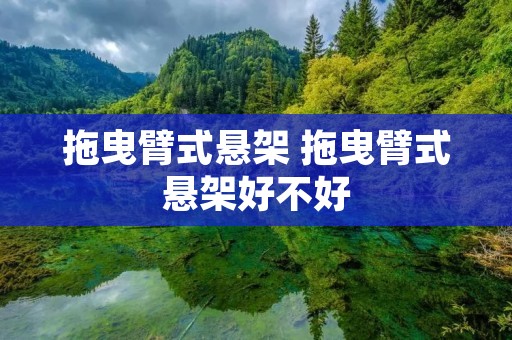 拖曳臂式悬架 拖曳臂式悬架好不好