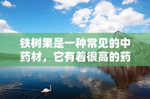 铁树果是一种常见的中药材,它有着很高的药用价值,被广泛应用于中医药领域。不少人会好奇,铁树果能不能食用呢?这就是本文要探讨的问题。