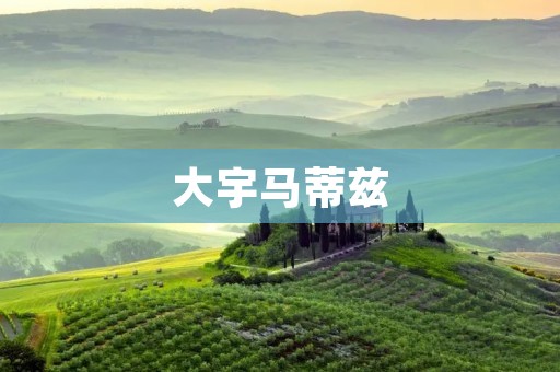 大宇马蒂兹:一场跨越时空的音乐盛宴 大宇马蒂兹:一场跨越时空的音乐盛宴
