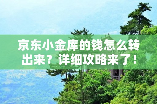 京东小金库的钱怎么转出来?详细攻略来了!