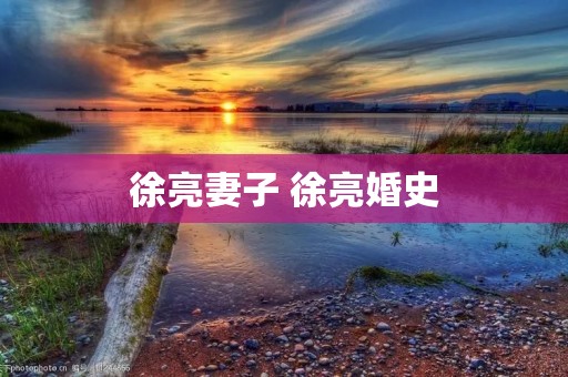 徐亮妻子 徐亮婚史 徐亮妻子 徐亮婚史