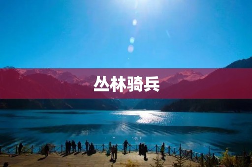 丛林骑兵：深入丛林，开启探险之旅