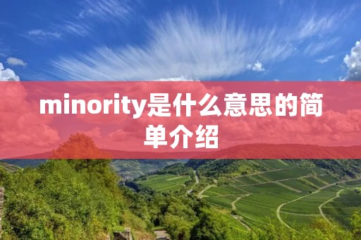 minority是什么意思的简单介绍