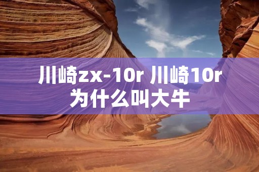 川崎zx-10r 川崎10r为什么叫大牛 川崎zx-10r 川崎10r为什么叫大牛