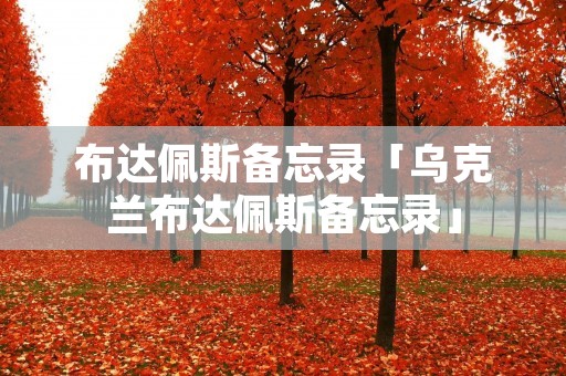 布达佩斯备忘录「乌克兰布达佩斯备忘录」 布达佩斯备忘录「乌克兰布达佩斯备忘录」
