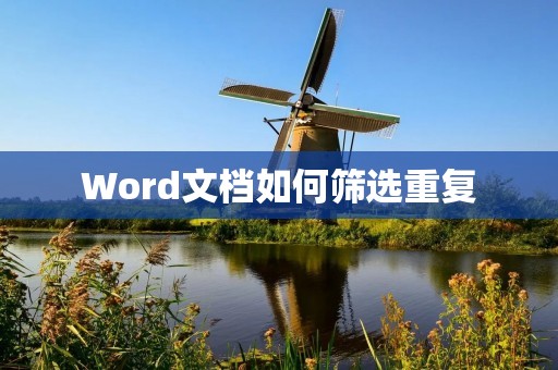 Word文档如何筛选重复