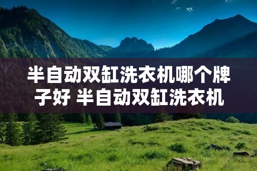 半自动双缸洗衣机哪个牌子好 半自动双缸洗衣机哪个牌子好一点 半自动双缸洗衣机哪个牌子好 半自动双缸洗衣机哪个牌子好一点