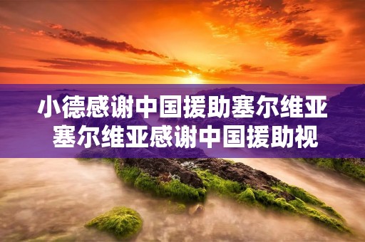 小德感谢中国援助塞尔维亚 塞尔维亚感谢中国援助视频