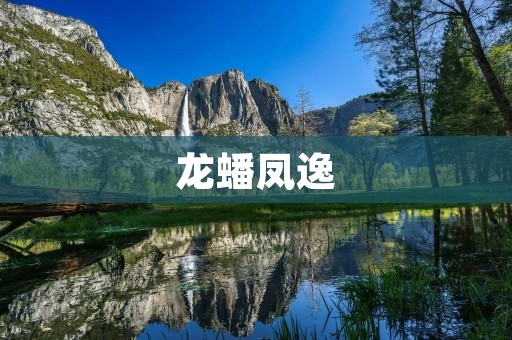龙蟠凤逸：传统文化与现代设计的完美融合