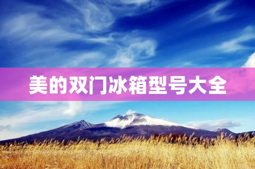 美的双门冰箱型号大全：品质与实用并存