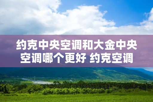 约克中央空调和大金中央空调哪个更好 约克空调与大金空调的区别