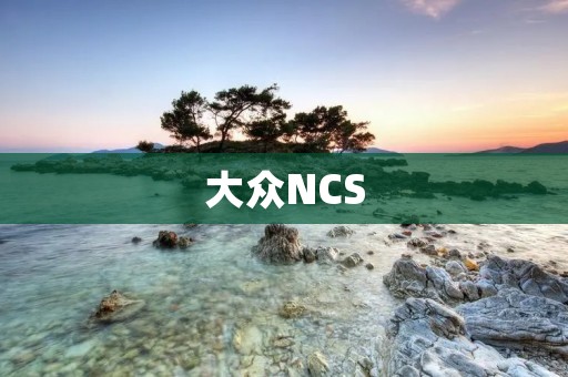 大众NCS:打造智能化出行新时代 大众NCS:打造智能化出行新时代