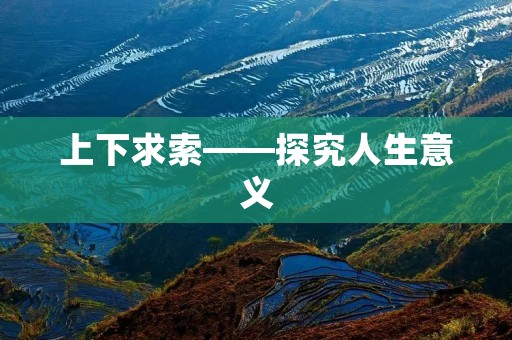 上下求索——探究人生意义