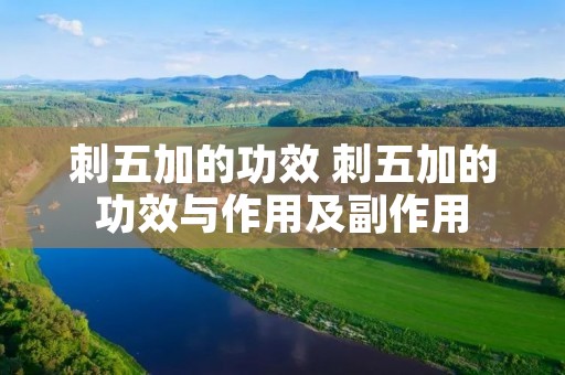 刺五加的功效 刺五加的功效与作用及副作用