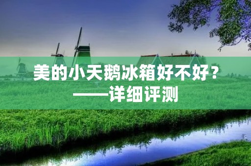 美的小天鹅冰箱好不好?——详细评测 美的小天鹅冰箱好不好?——详细评测