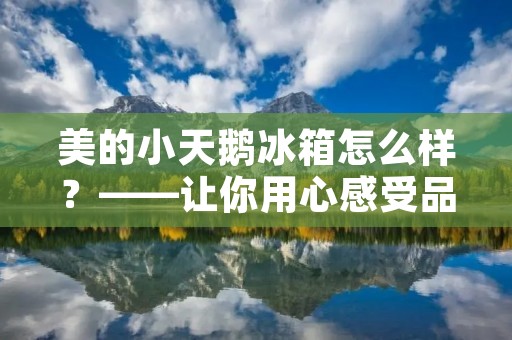 美的小天鹅冰箱怎么样？——让你用心感受品质生活