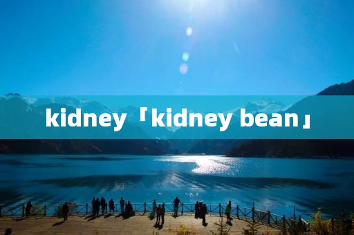 kidney「kidney bean」