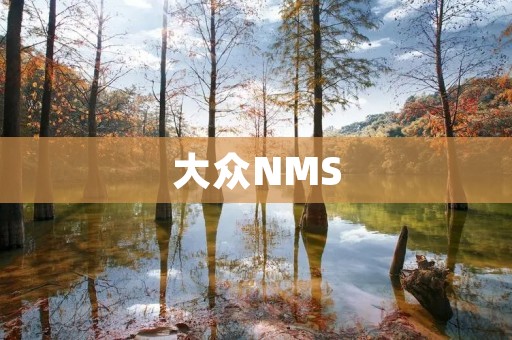 大众NMS：网络管理的新选择