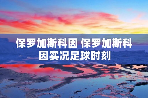 保罗加斯科因 保罗加斯科因实况足球时刻