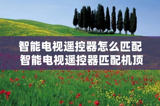 智能电视遥控器怎么匹配 智能电视遥控器匹配机顶盒