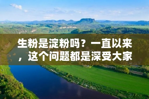 生粉是淀粉吗？一直以来，这个问题都是深受大家关注的话题。生粉和淀粉的区别是什么？它们有什么相同点和不同点？本文将从多个角度进行分析，为大家解开这个谜题。