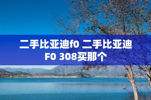二手比亚迪f0 二手比亚迪F0 308买那个 二手比亚迪f0 二手比亚迪F0 308买那个