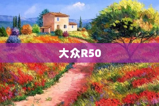 大众R50：一款经典的德国车