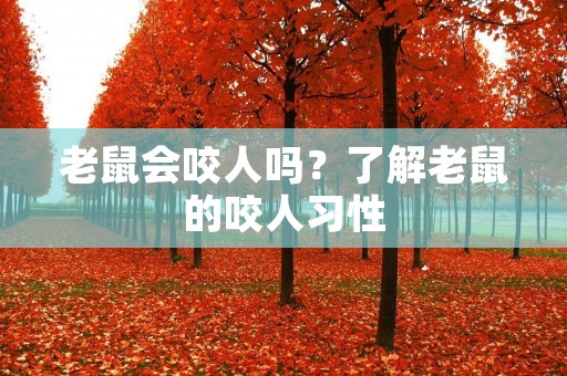 老鼠会咬人吗？了解老鼠的咬人习性