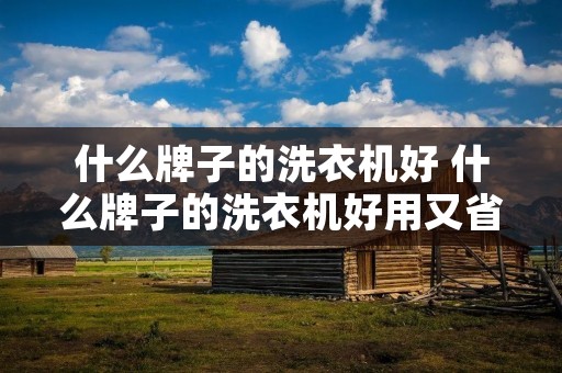 什么牌子的洗衣机好 什么牌子的洗衣机好用又省电省水