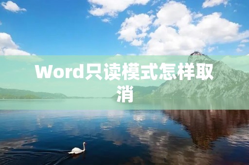 Word只读模式怎样取消:详细操作指南