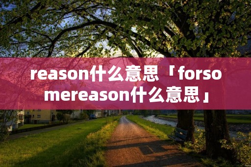 reason什么意思「forsomereason什么意思」